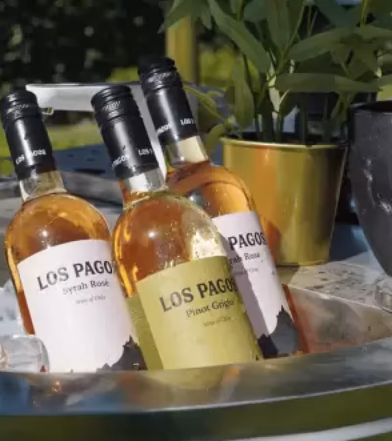Drie flessen Los Pagos wijn gekoeld in een metalen bak met ijs en een groene plant op de achtergrond.
